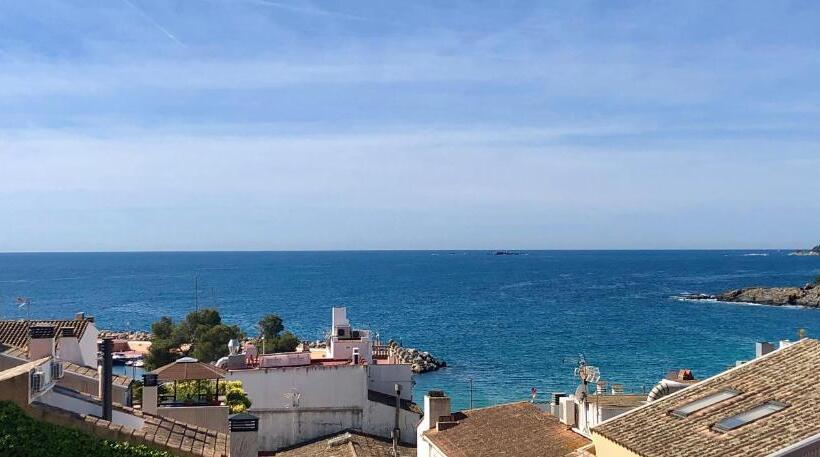 스탠다드 테라스 룸, Medium Montecarlo