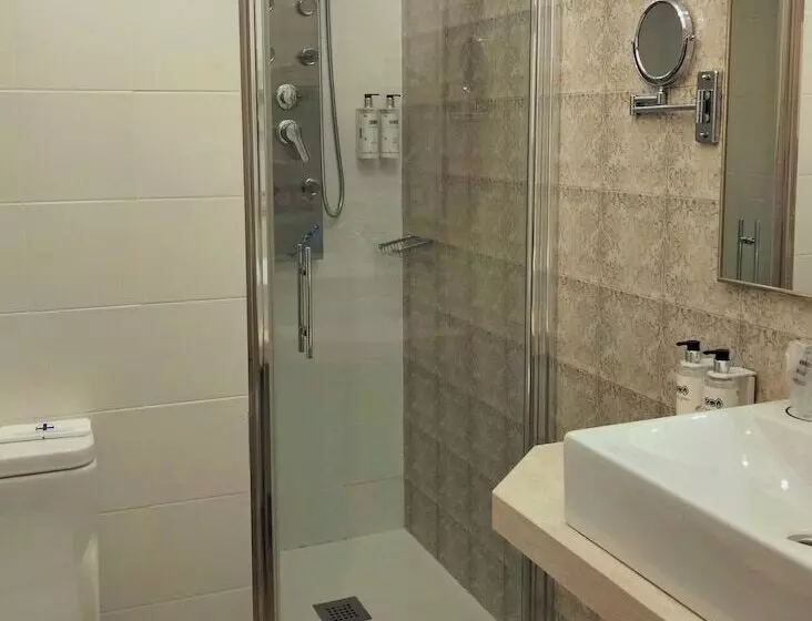 اتاق عادی, Real Segovia By Recordis Hotels
