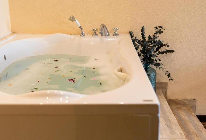 豪华套房, Roger De Flor By Seleqtta