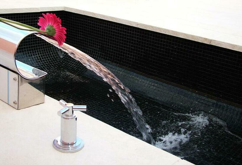 スーペリアールーム, Sir Anthony