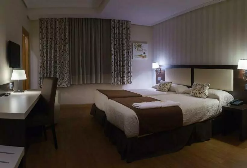 スタンダードシングルルーム, Hospedium Hotel Triana