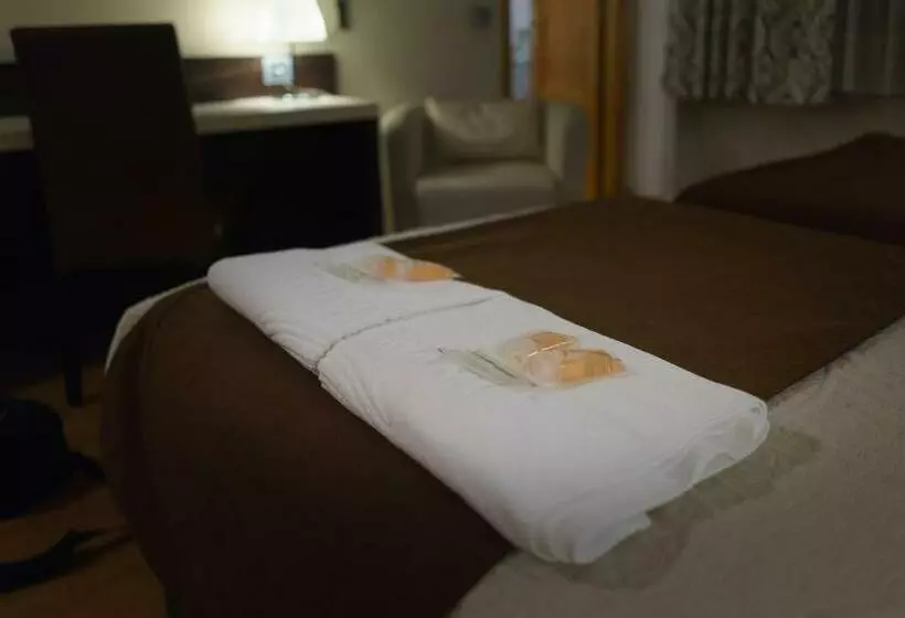 スタンダードシングルルーム, Hospedium Hotel Triana