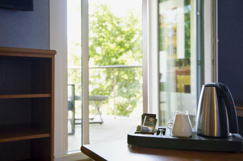 テラス付きスタンダードルーム, Delfin