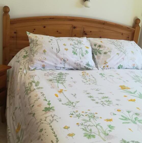 Номер Стандарт Индивидуальный, Hostal El Castillo