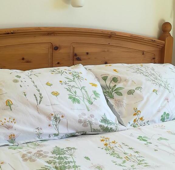 Номер Стандарт Индивидуальный, Hostal El Castillo