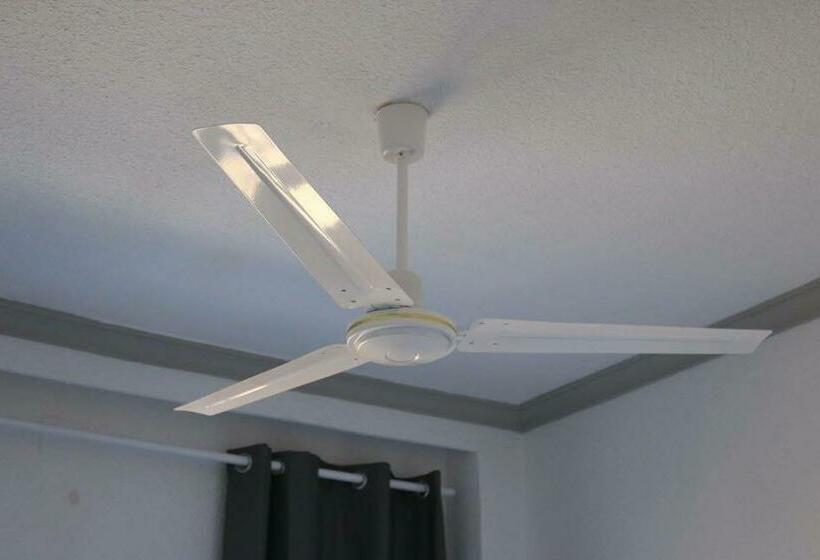 エコノミールーム, Flamingo