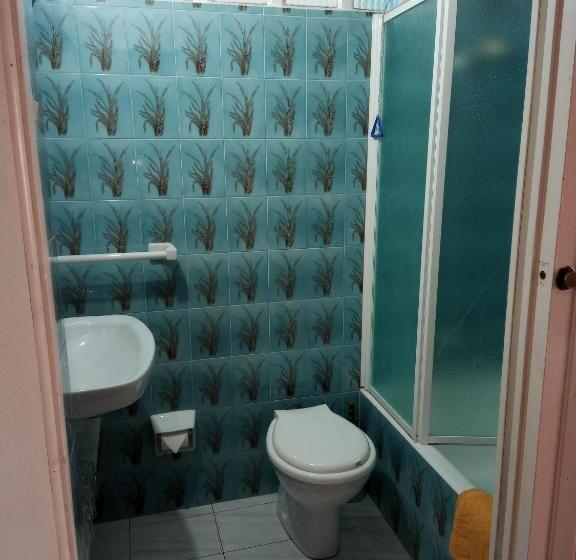 Семейный Номер, Pensión Los Pinos Gijón