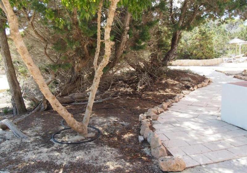 بانگلوی سوپریور, Lago Playa