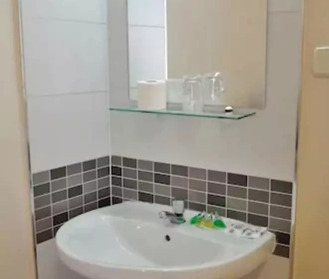 اتاق استاندارد با سرویس بهداشتی مشترک, Hostal Falfes