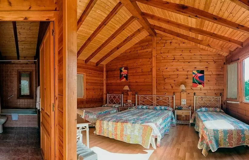 Chambre Standard Individuelle, Piedra