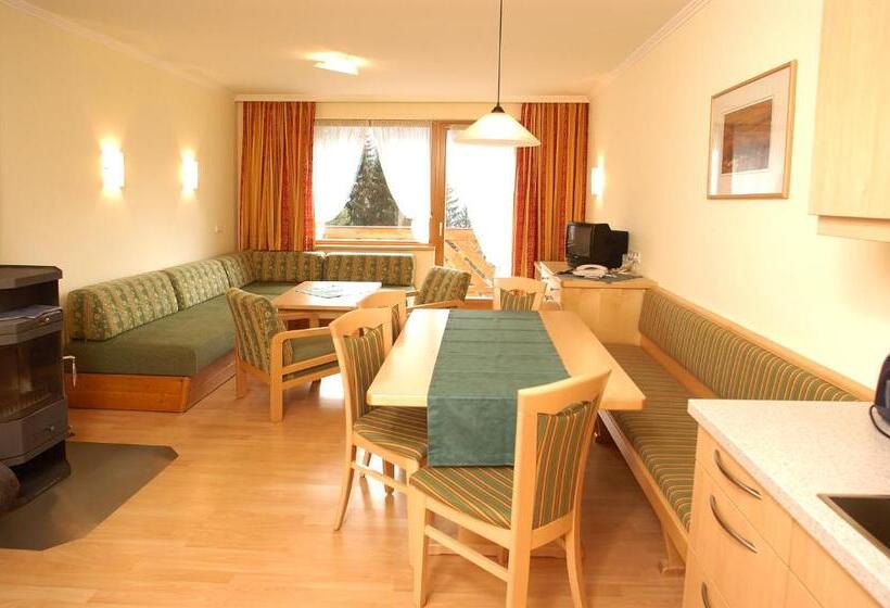 آپارتمان 2 خوابه, Ferienalm Panorama Apartments