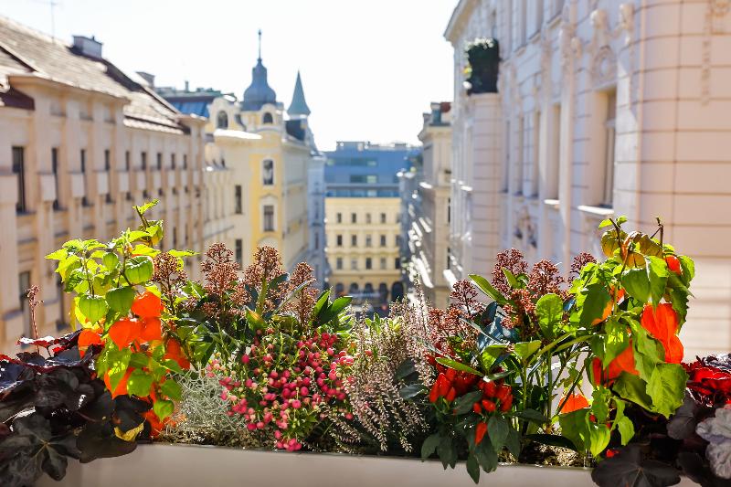 디럭스 룸, Boutiquehotel Das Tyrol