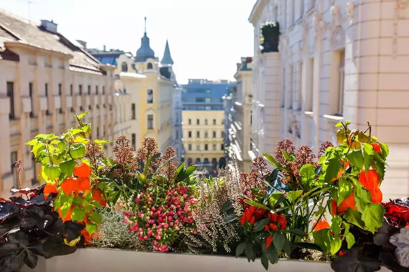 デラックスルーム, Boutiquehotel Das Tyrol