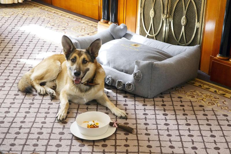 行政房间, Bristol, A Luxury Collection Hotel, Vienna