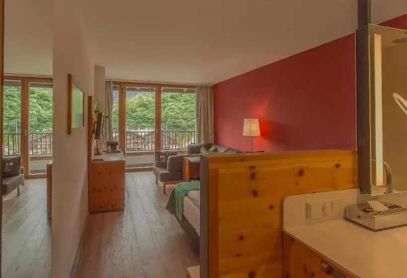 マウンテンビュースタンダードルーム, Spa Hotel Erzherzog Johann