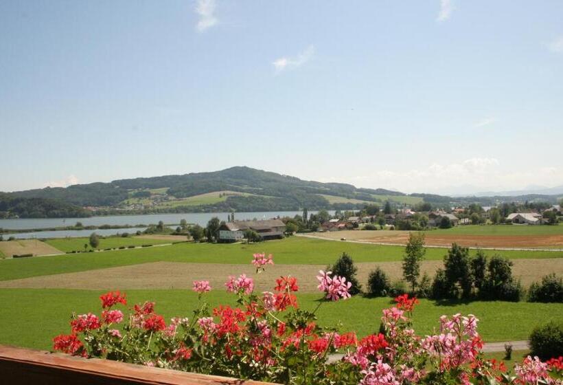 חדר סופריור, Walkner