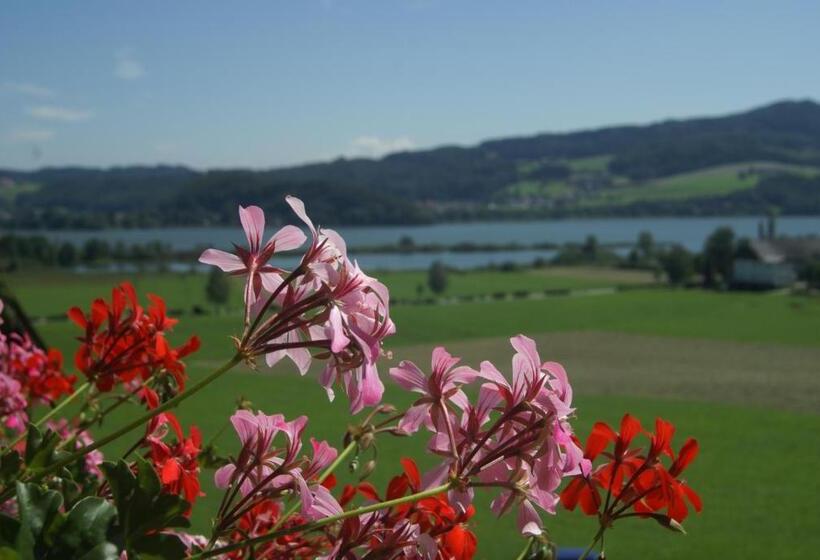 חדר סטנדרט יחיד, Walkner