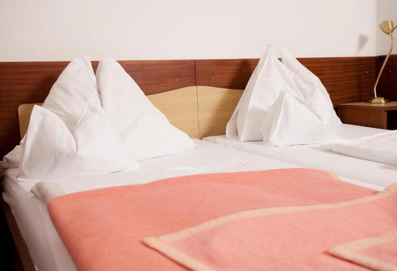 스탠다드 도시전망 룸, Pension Neuer Markt