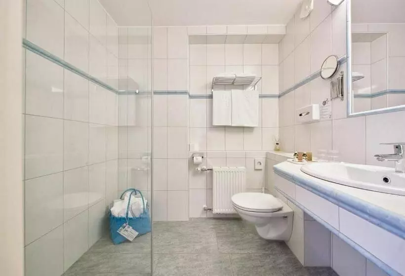 シングルデラックスルーム, Seeglück Hotel Forelle Superior