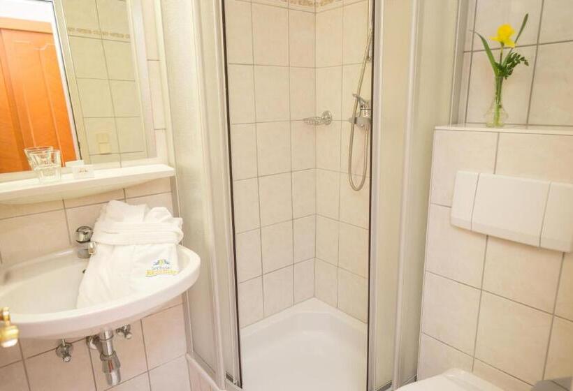 اتاق یک تخته با تراس, Seehotel Ressmann