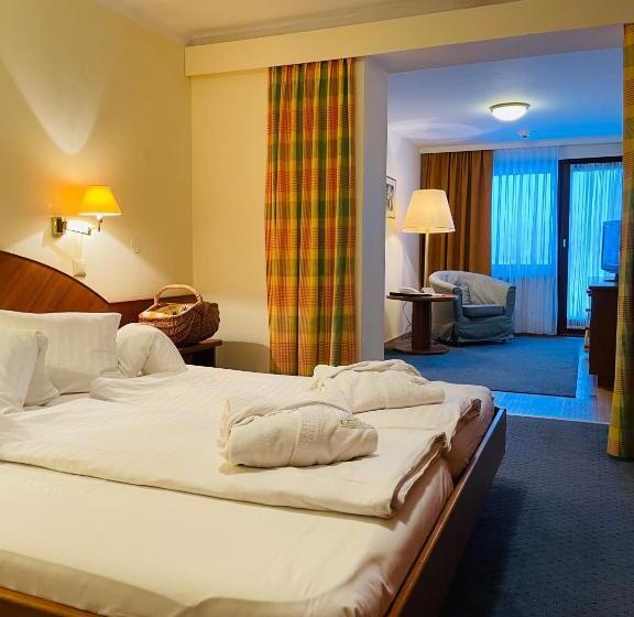 سوئیت جونیور با تراس, Seehotel Ressmann