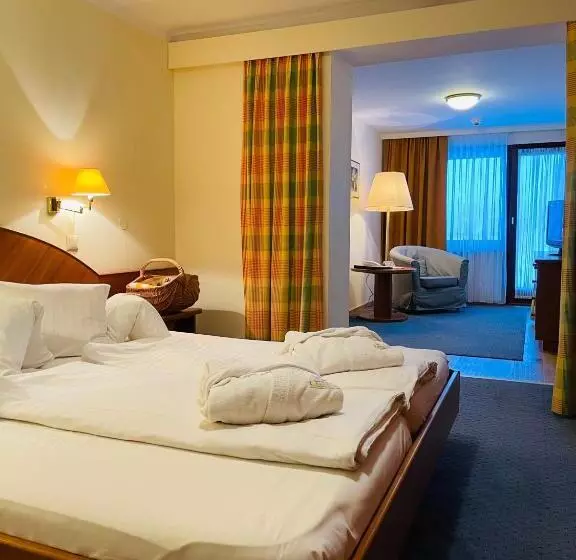 テラス付きジュニアスイート, Seehotel Ressmann