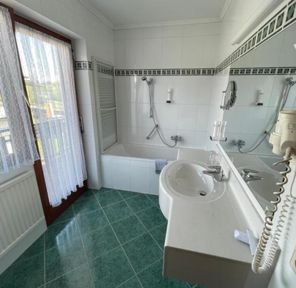 اتاق استاندارد با چشمانداز دریاچه, Seehotel Ressmann