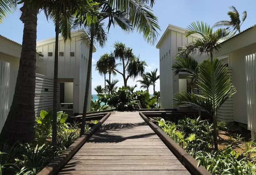 Sviitti, Lizard Island Resort
