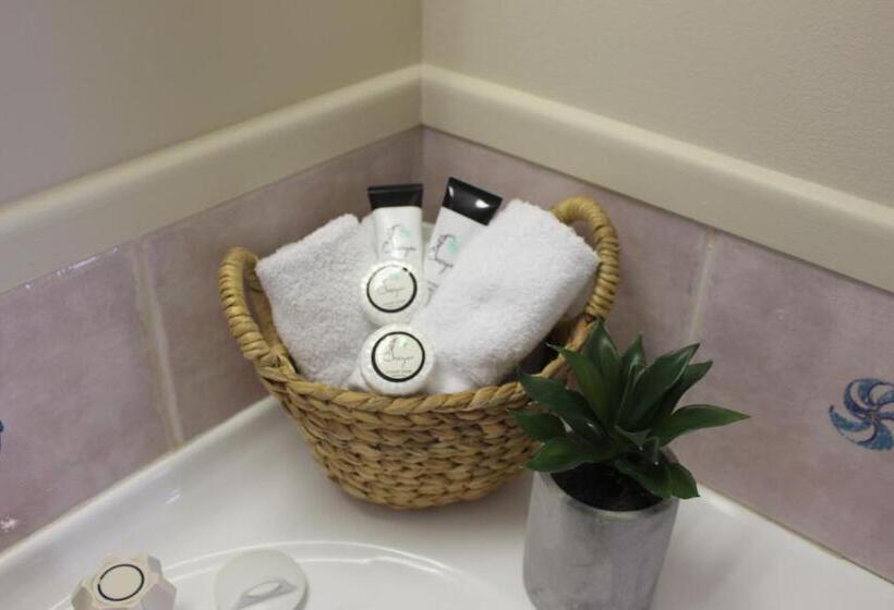 חדר דחוקס עם מיטת קינג, Motel Northview Mackay