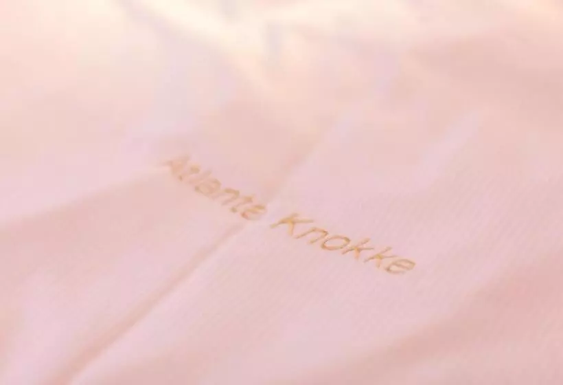 テラス付スタンダードルーム, Atlanta Knokke