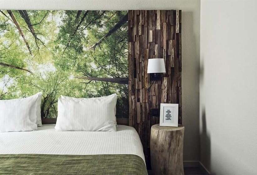 غرفة كومفورت, Zuid