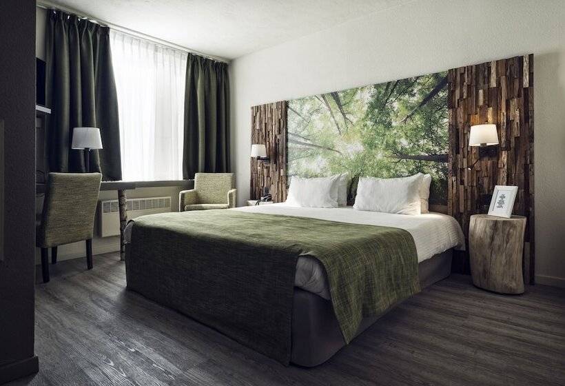 غرفة أساسية, Zuid