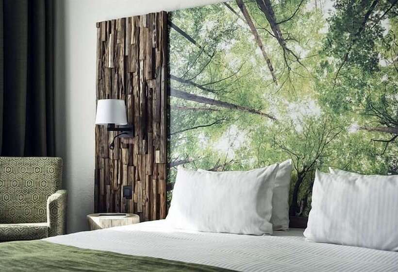 غرفة قياسية فردية, Zuid