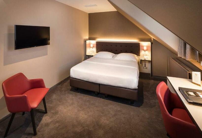 Номер Basic, Navarra Brugge