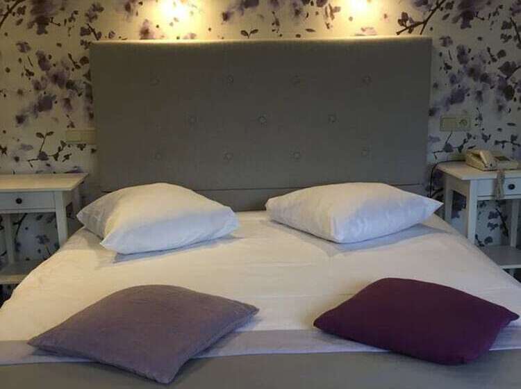 이코노미 룸, Panorama