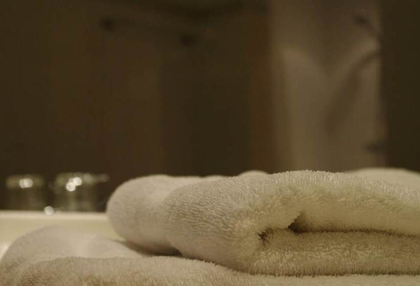 이코노미 룸, Panorama