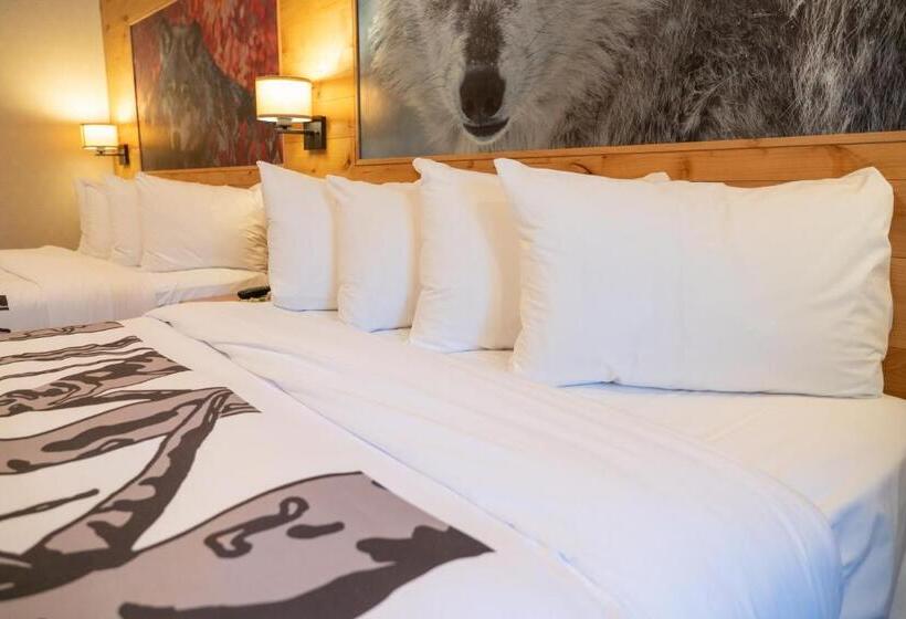 ジュニアスイート, Banff Rocky Mountain Resort