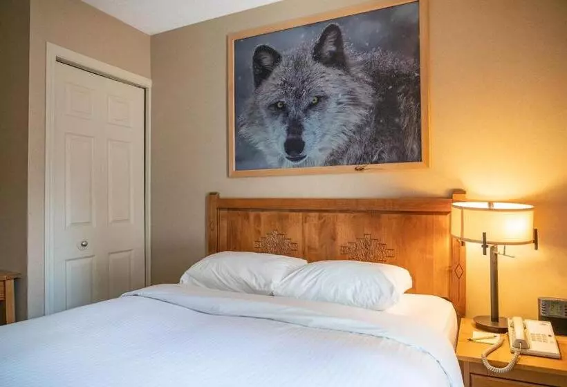 Sviitti, Banff Rocky Mountain Resort