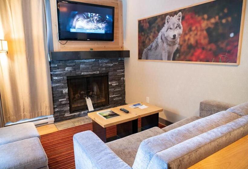 １ベッドルームのスーペリアアパートメント, Banff Rocky Mountain Resort