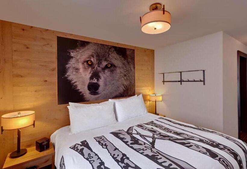 ２ベッドルームのスーペリアアパートメント, Banff Rocky Mountain Resort