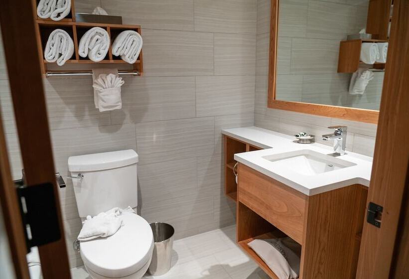 חדר סטנדרט עם מיטת קינג, Banff Ptarmigan Inn