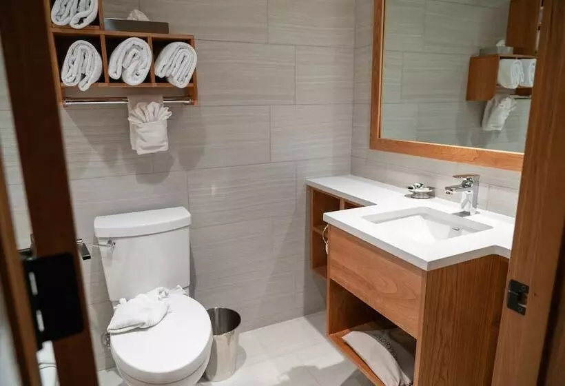 اتاق استاندارد با تخت بزرگ, Banff Ptarmigan Inn