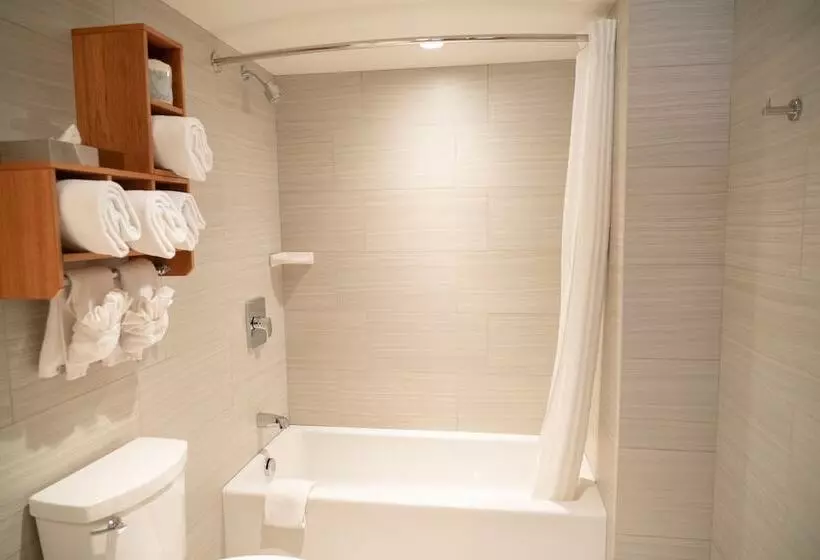اتاق سوپریور با تخت بزرگ, Banff Ptarmigan Inn