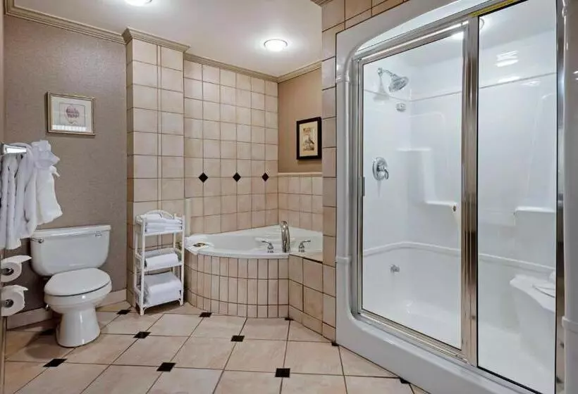 سوئیت با تخت بزرگ, Best Western Plus Port Ocall