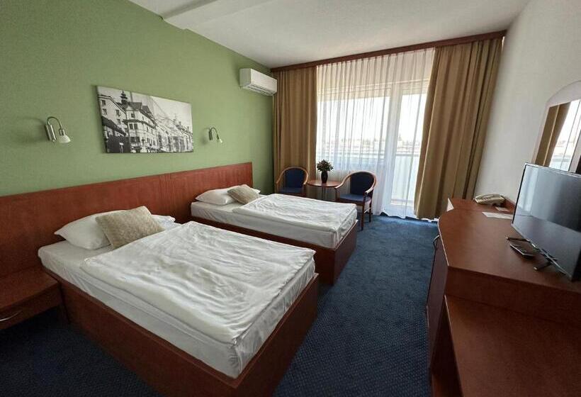 اتاق استاندارد, Bratislava