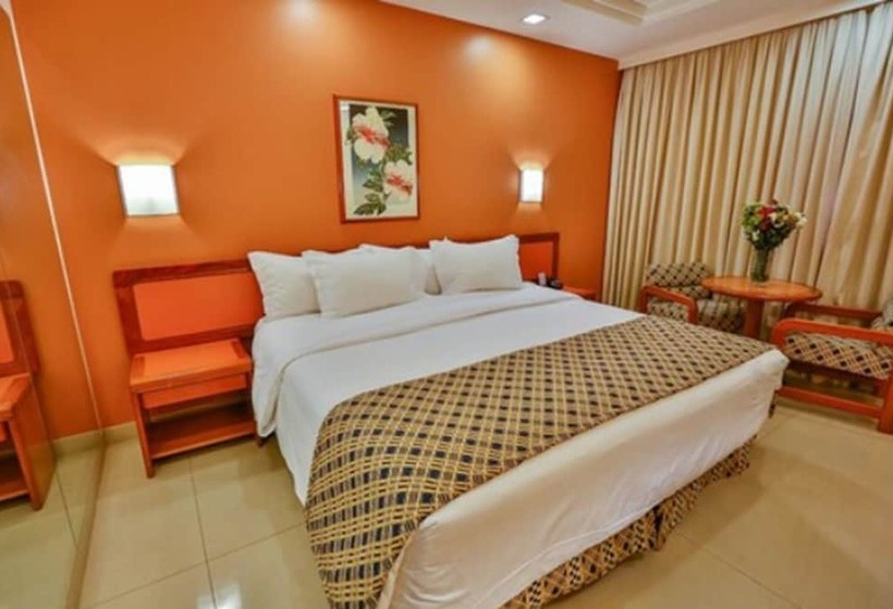 デラックスルーム, Castro S Park