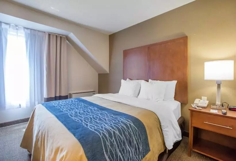 Standardzimmer 2 Doppelbetten, Comfort Inn