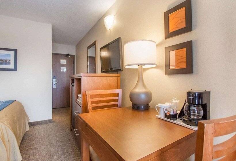 غرفه قياسيه سريرين مزدوجين, Comfort Inn