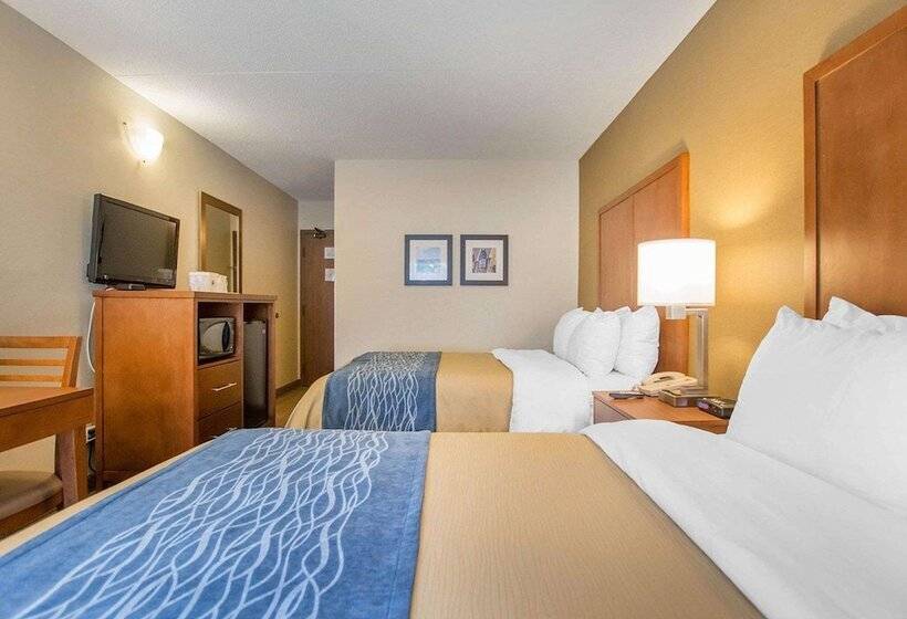 ２ダブルベッドのスタンダードルーム, Comfort Inn
