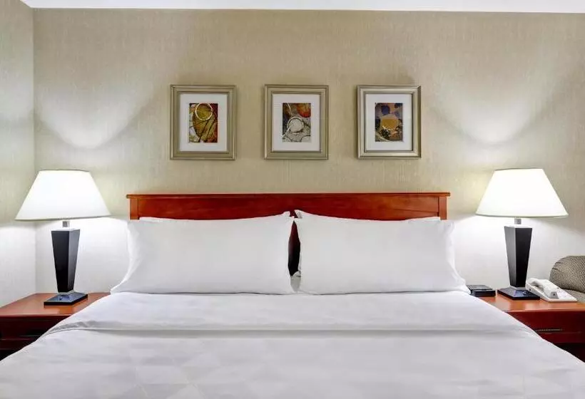 キングサイズベッドのエクゼクティブルーム, Holiday Inn Burlington Hotel & Conference Centre, An Ihg